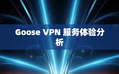 Goose VPN 服务体验分析 Goose VPN 服务体验分析