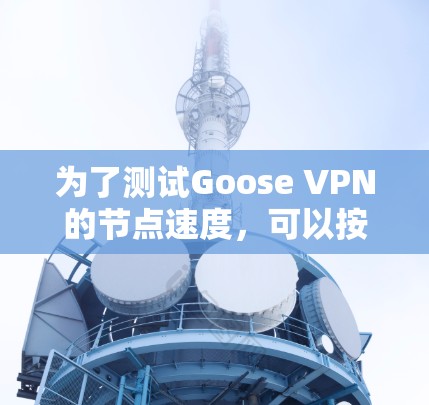 为了测试Goose VPN的节点速度，可以按照以下步骤进行