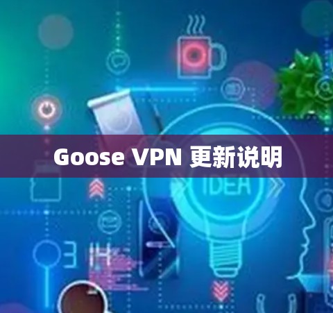 Goose VPN 更新说明 Goose VPN 更新说明