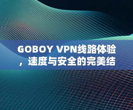 GOBOY VPN线路体验,速度与安全的完美结合 GOBOY VPN线路体验,速度与安全的完美结合