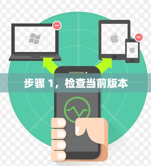 步骤 1，检查当前版本