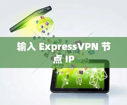输入 ExpressVPN 节点 IP 输入 ExpressVPN 节点 IP