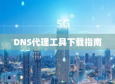 DNS代理工具下载指南