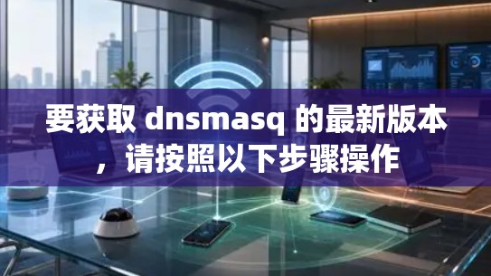 要获取 dnsmasq 的最新版本,请按照以下步骤操作